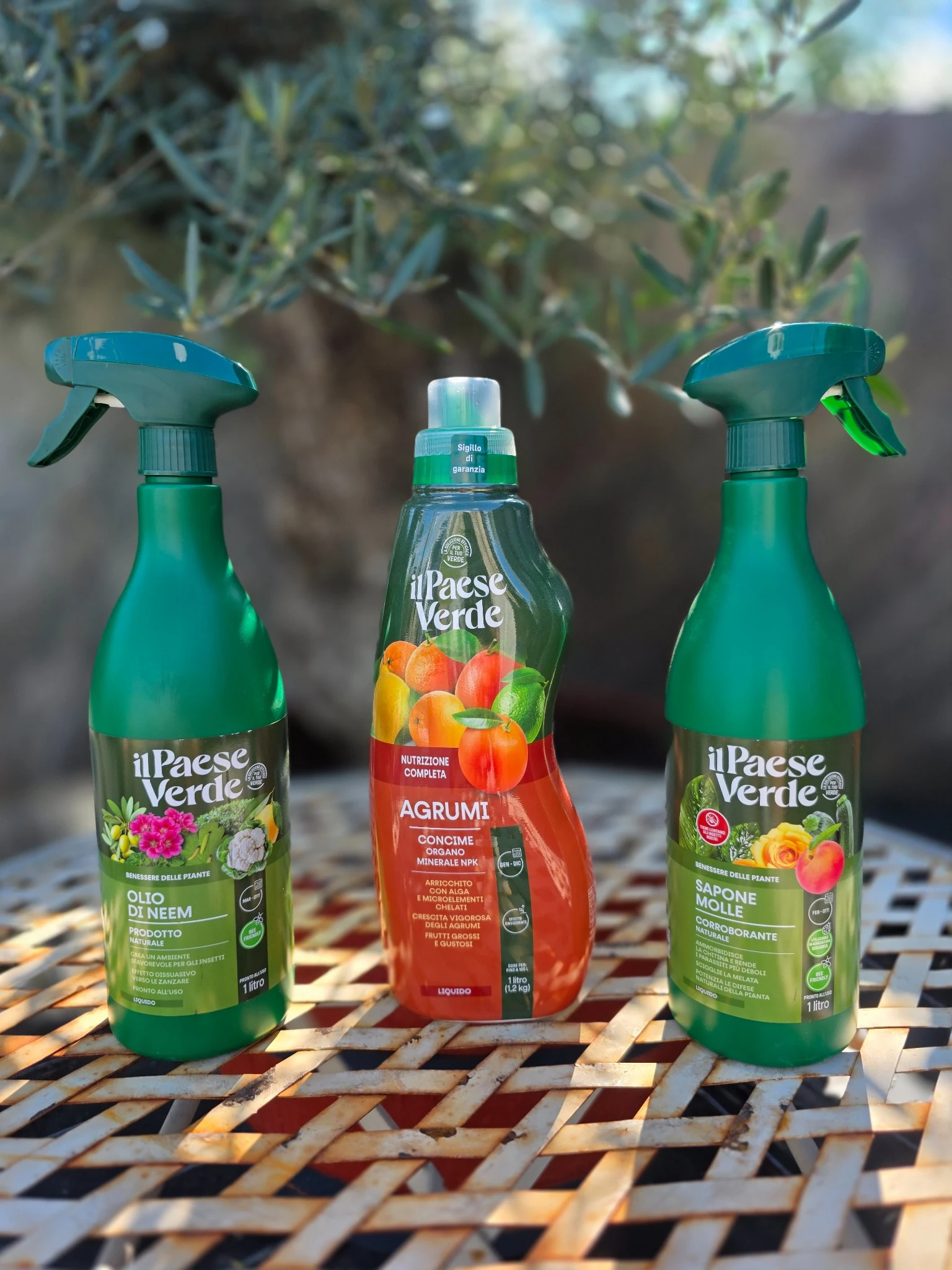 Priežiūros rinkinys citrusams ir alyvmedžiams Il Paese Verde – Agrumi trąšos, žaliasis muilas ir neem aliejus, 3 × 1 l - Image 2