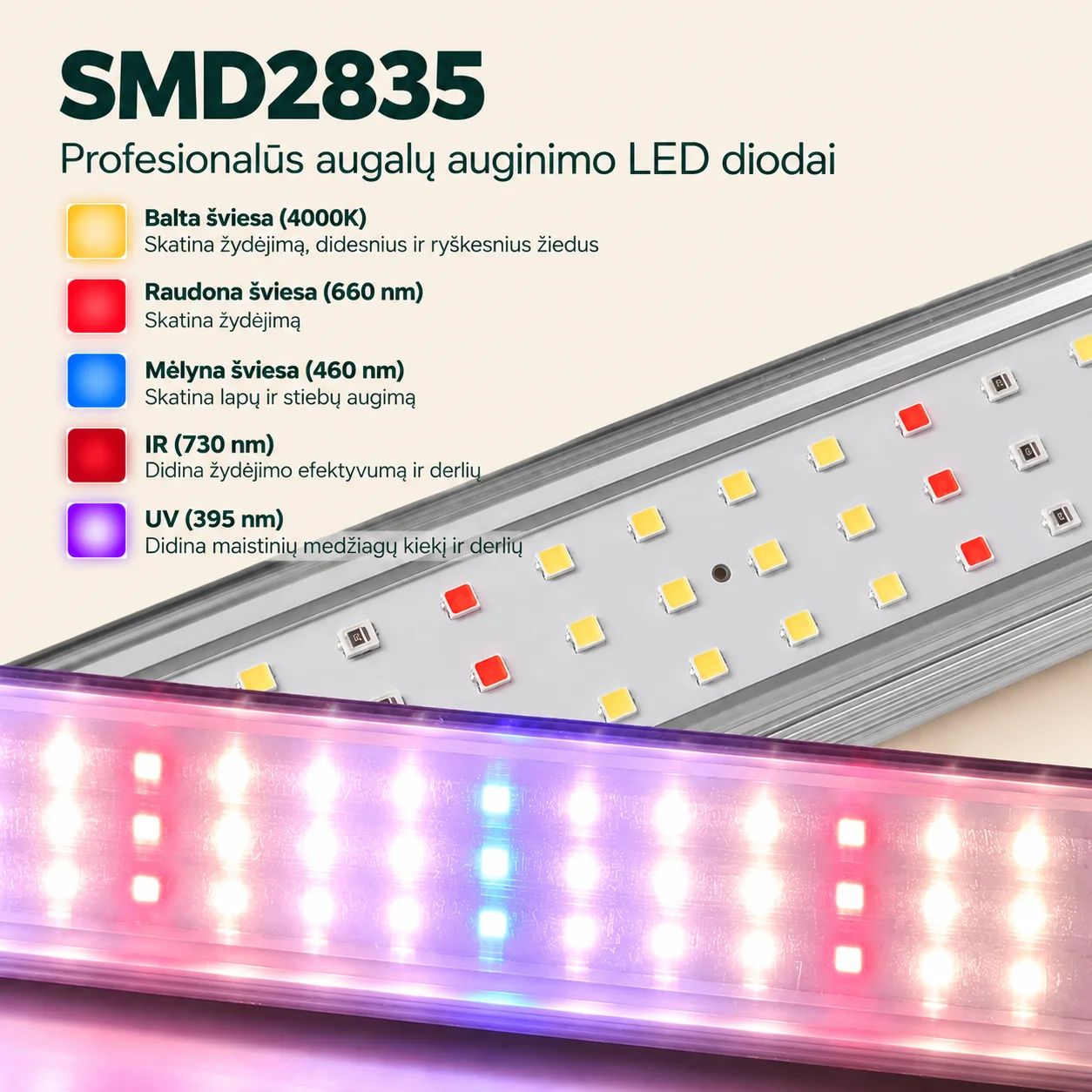 LED lempa augalų žiemojimui, saulės šviesos imitacija | Dr. PHOTON Sunlight LED-336 | 30W | 105 cm | 4000K - Image 4